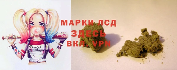 ПСИЛОЦИБИНОВЫЕ ГРИБЫ Вязьма