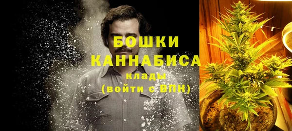 ПСИЛОЦИБИНОВЫЕ ГРИБЫ Вязьма