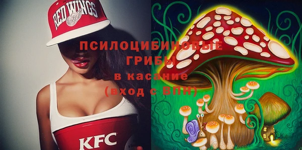 прущая мука Вязники
