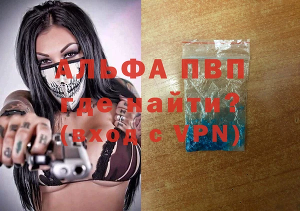 ECSTASY Вяземский