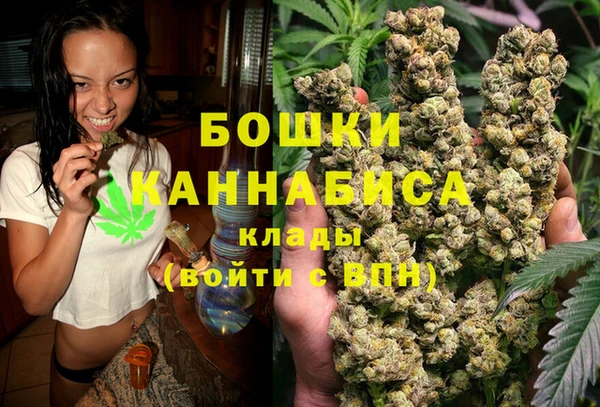 ECSTASY Вяземский